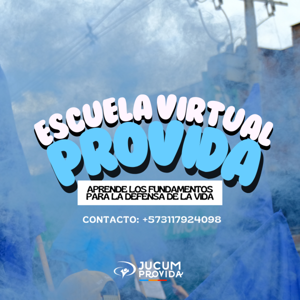 ESCUELA FUNDAMENTOS BÁSICOS PROVIDA